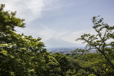 Scenic view of trees and mountains against sky