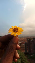 Close-up of hand holding yellow flower against sky