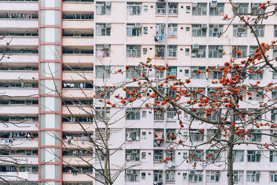 Buildings in city