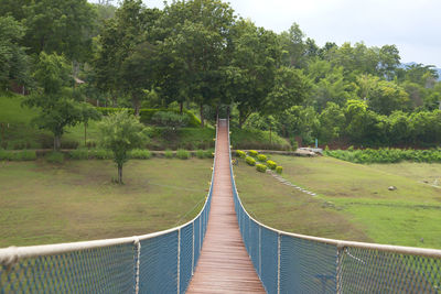 Trees in park