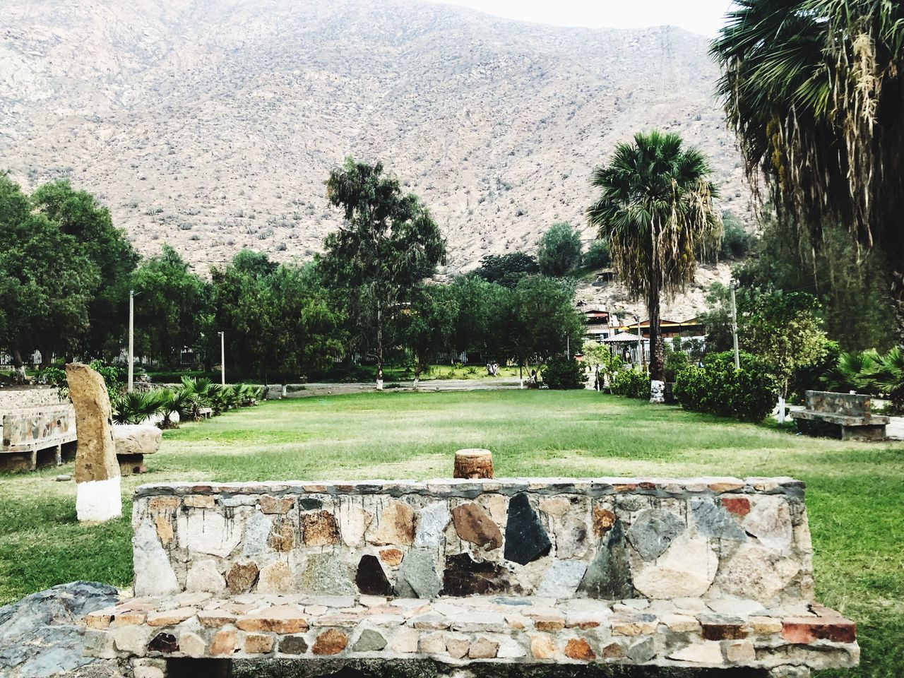 STONE WALL OF BUILDING AND TREES