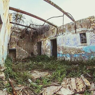 architecture, house, built structure, abandoned, no people, day, building exterior, plant, growth, outdoors, tree, nature