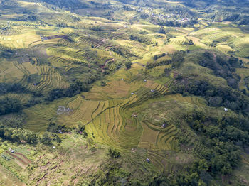 High angle view of agricultural field