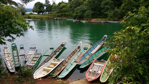 Boats moored in lake against trees