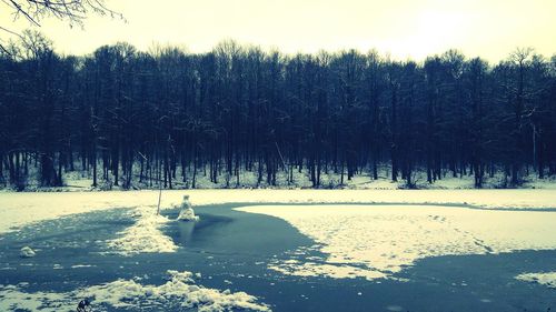 Trees on snow covered field against sky