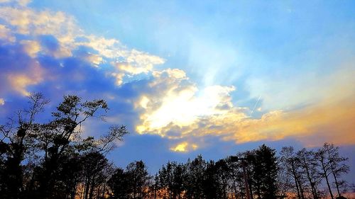 Low angle view of silhouette trees against sky during sunset