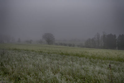 Scenic view of field against sky during winter