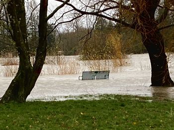 View of park bench on field