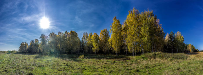 Trees on field against sky