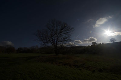 Silhouette bare trees on field against sky