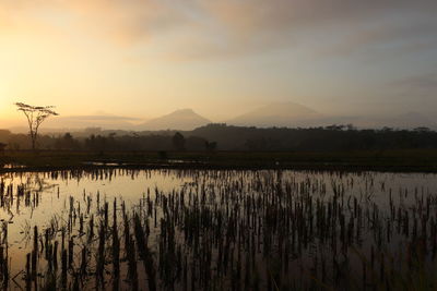 Scenic view of lake against sky during sunset