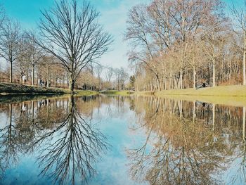 Reflection of trees in water