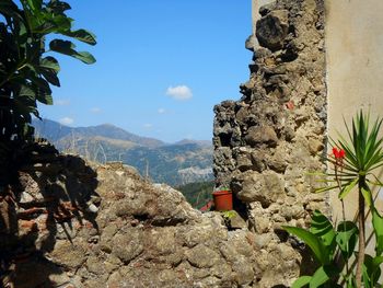 Plants growing on mountain against sky