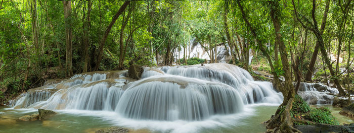 Scenic view of waterfall in forest