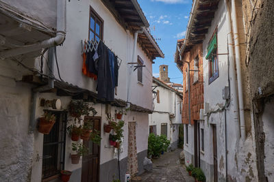 Buildings in city