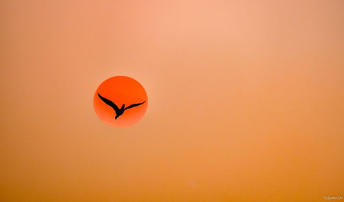 Orange sky