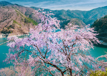 Scenic view of blue and mountains against sky