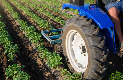 A farmer on a tractor plows the field. potato plantation. agroindustry and agribusiness. 