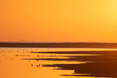 Scenic view of sea against orange sky