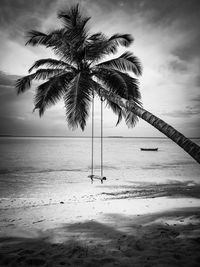 Palm tree by sea against sky