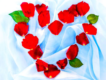 Close-up of red roses