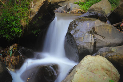 Scenic view of waterfall in forest