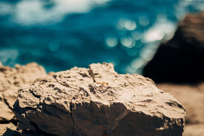 Close-up of rocks on shore