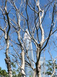 Low angle view of bare tree against sky