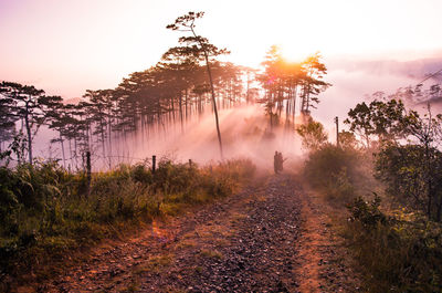 People on street amidst trees against sky during sunset