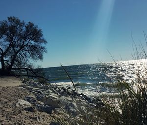 Scenic view of sea against clear blue sky