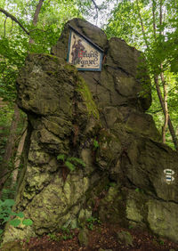 Low angle view of sign on tree trunk in forest