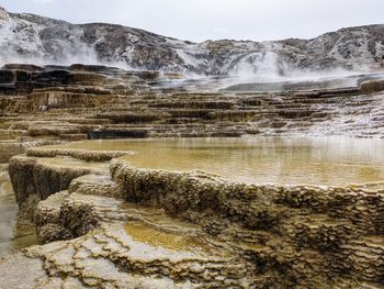 Mammoth spring, yellowstone