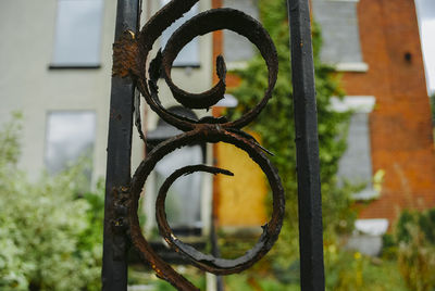 Close-up of rusty metal fence against trees