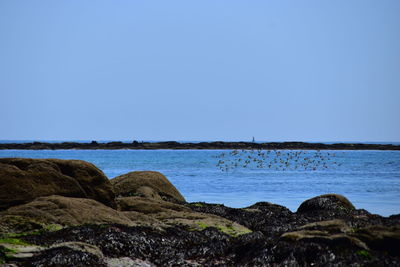 Scenic view of sea against clear blue sky