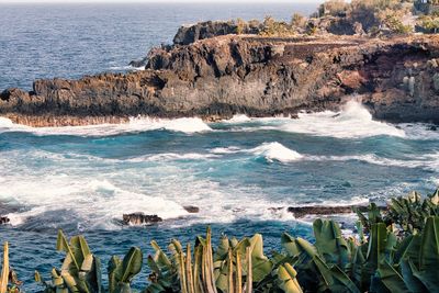 Banana plants in the foreground and busy sea with cliffs in the background in la palma, spain