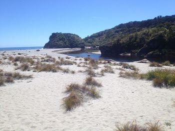 Scenic view of beach against clear sky