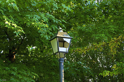 Low angle view of birdhouse on tree