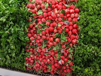 High angle view of red fruits for sale in market