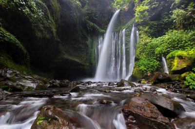 Scenic view of waterfall in forest