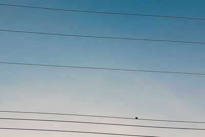 Low angle view of birds perching on cable against sky
