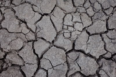 Full frame shot of cracked cobblestone