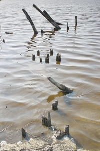 High angle view of ducks swimming in lake