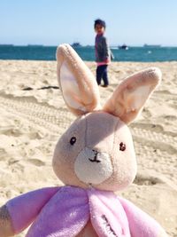 Close-up of boy with toy on beach