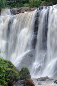 Scenic view of waterfall in forest