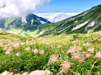 Scenic view of mountains against sky