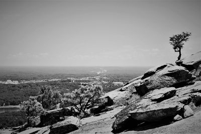 Scenic view of landscape against clear sky