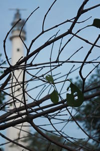 Low angle view of bare tree against sky