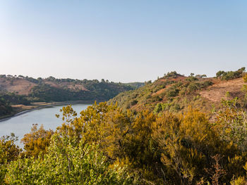 Scenic view of landscape against clear sky