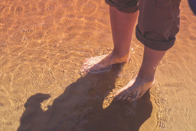 Low section of man standing on beach