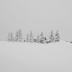 Scenic view of snow covered landscape